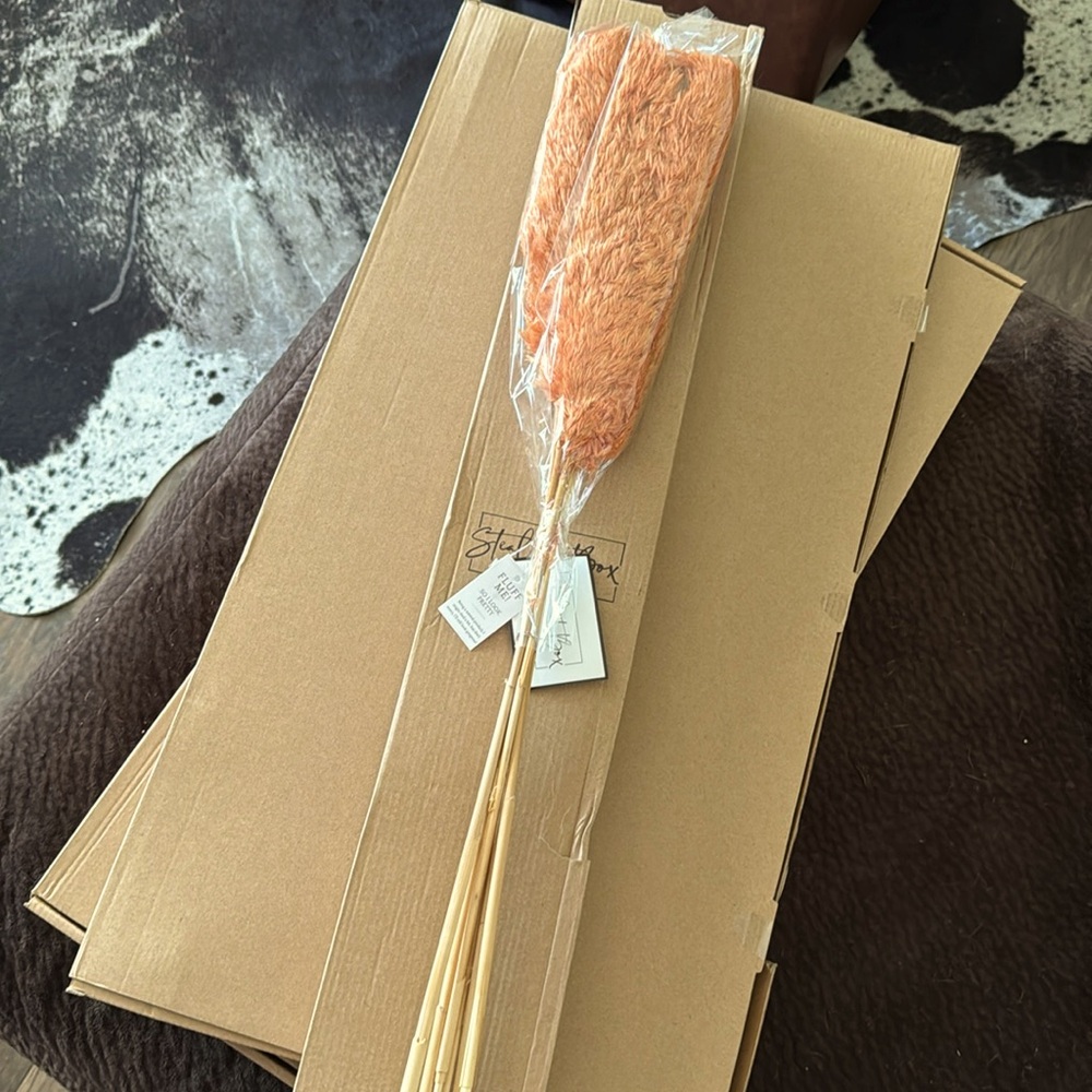 Brand new! Pampas stems